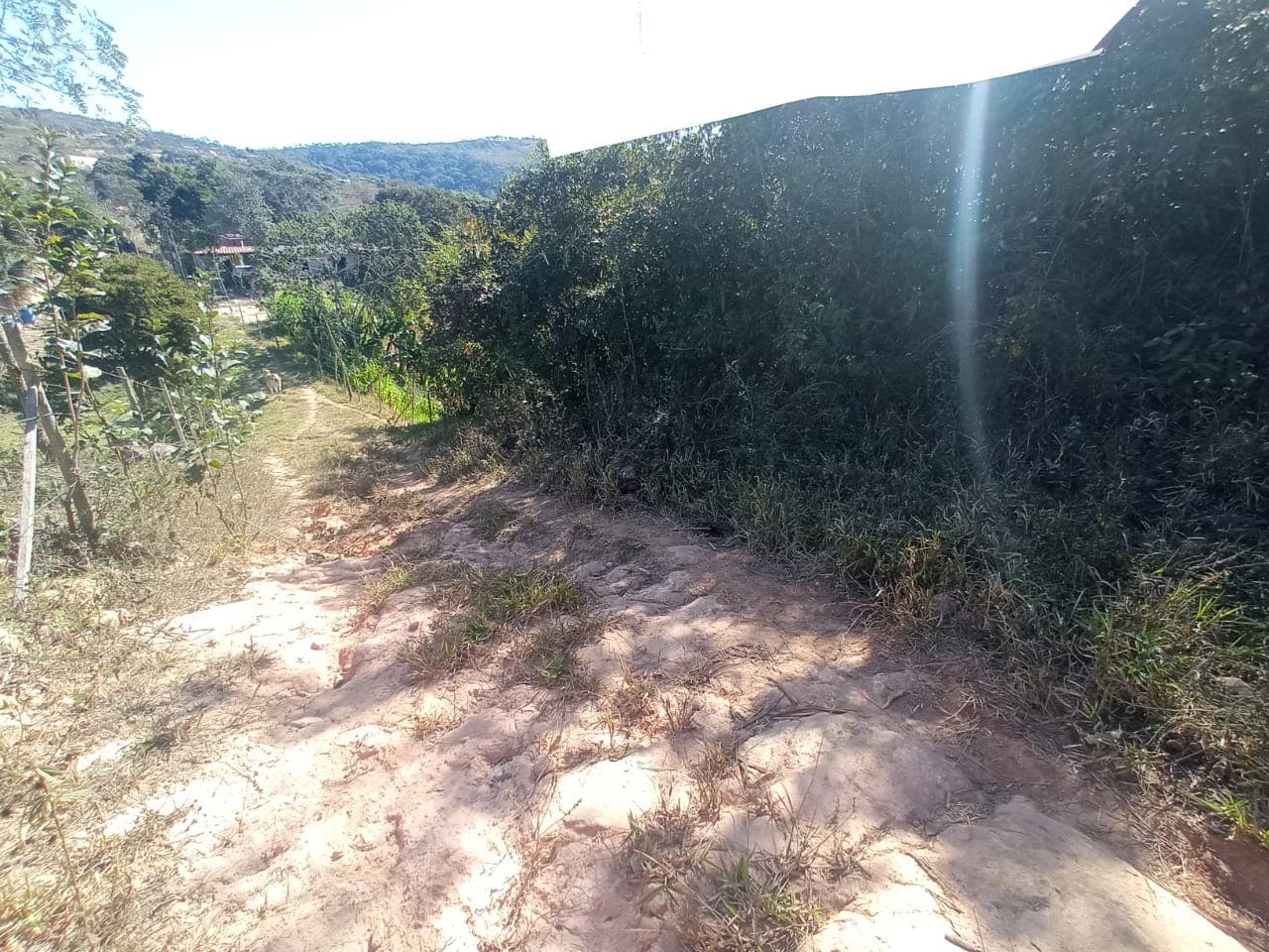 Lote 04 · Quadra 131 · Vianinha