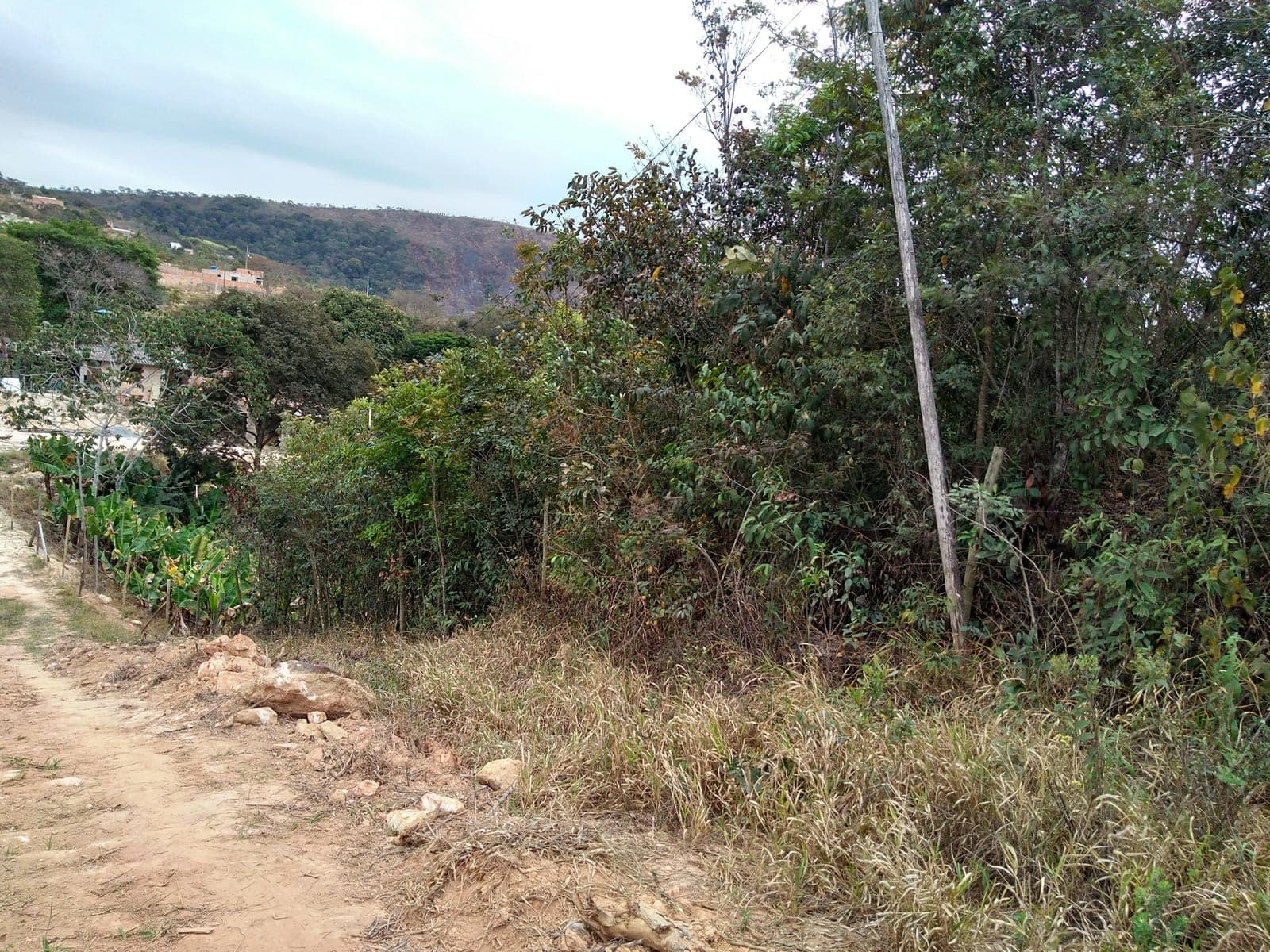 Lote 05 · Quadra 131 · Vianinha