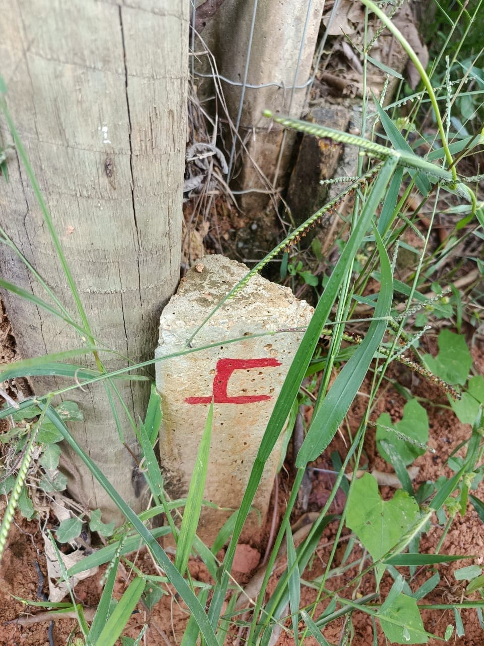 Lote 04 · Quadra 05 · Estrela Dalva