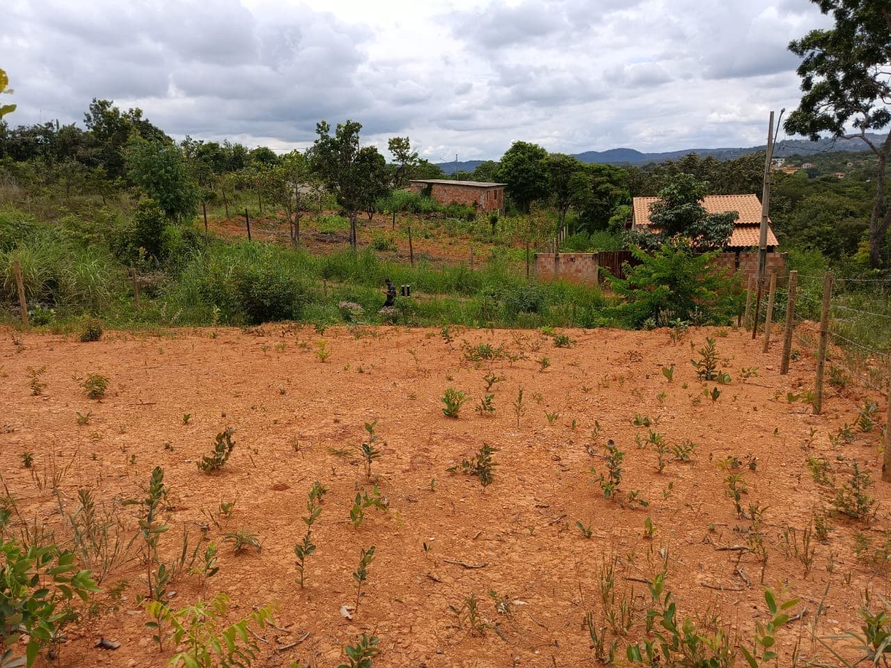 Lote 24 · Quadra 13 · Estrela Dalva