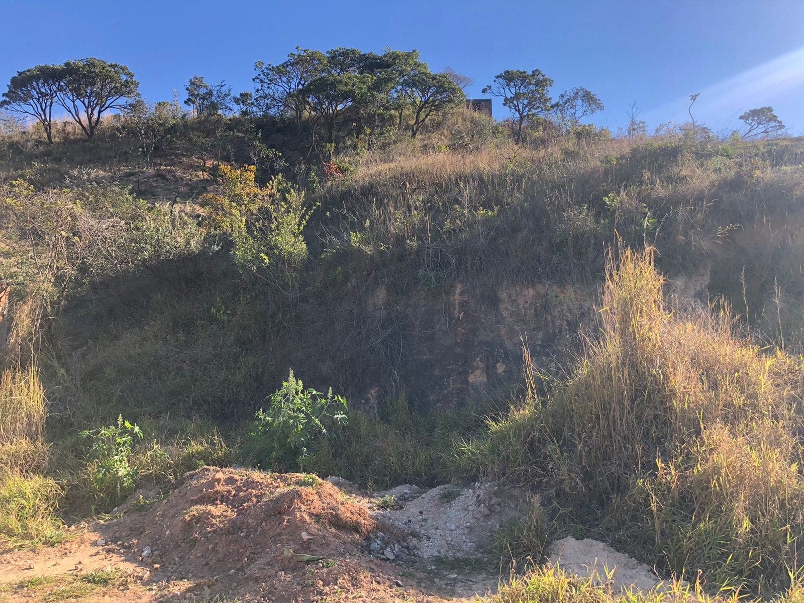 Lote 02 · Quadra 15 · Parque do Sabiá